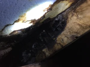 【床下の真実】リビングの小さなシミ、実は断熱材が「水漏れ」を運んでいました。