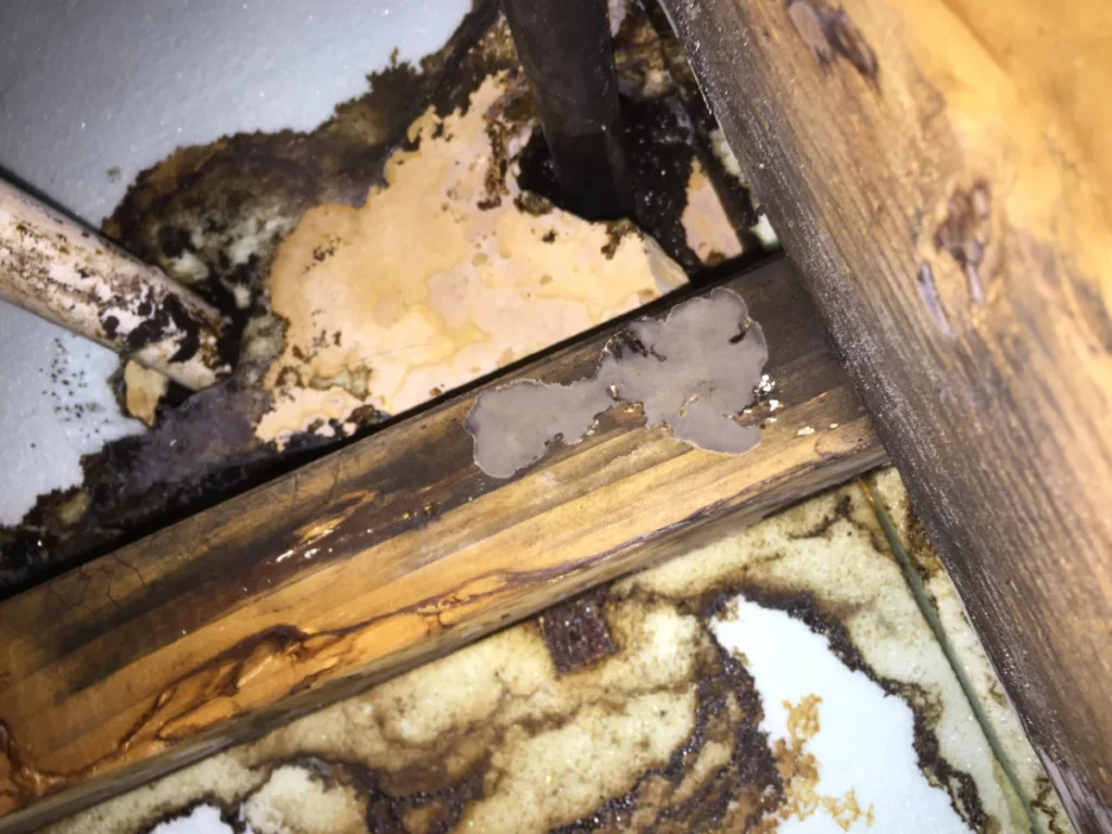 大阪市平野区キッチン水漏れの床下の状況①