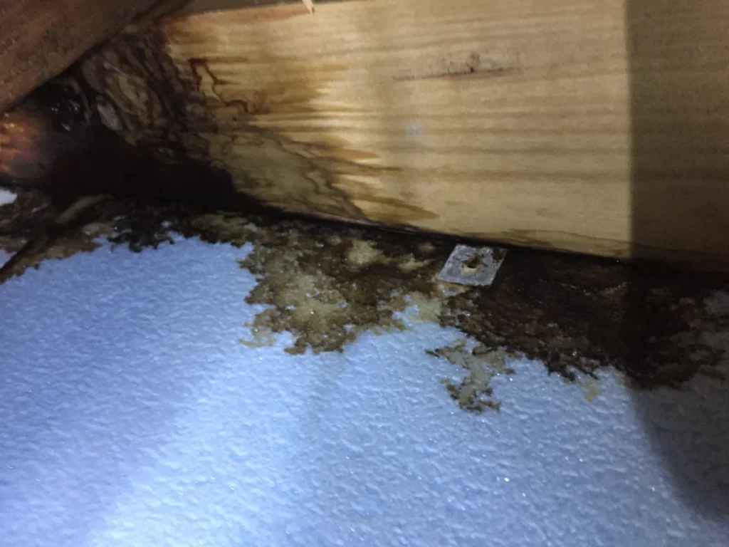 大阪市平野区キッチン水漏れの床下の状況②
