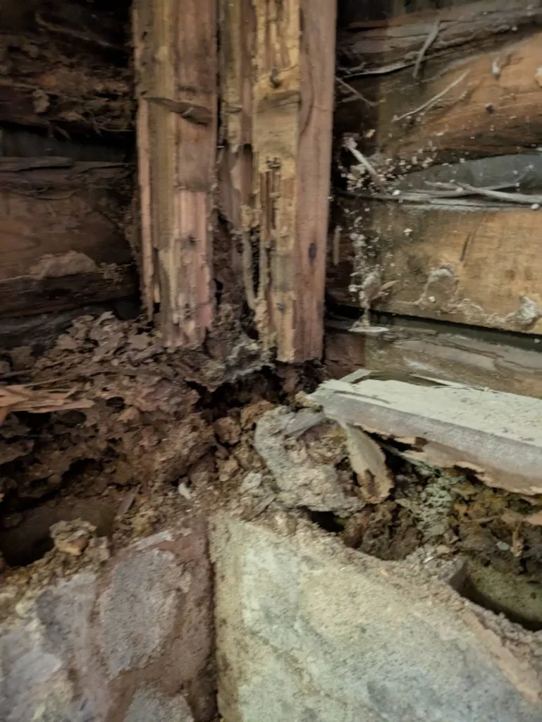 平野区お風呂解体後腐った土台と柱のアップ写真